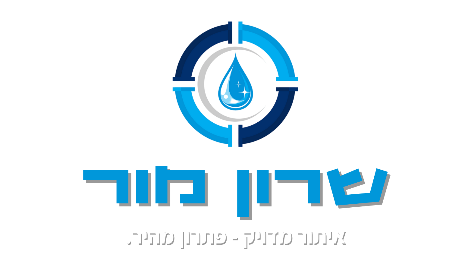שרון מור איתור נזילות